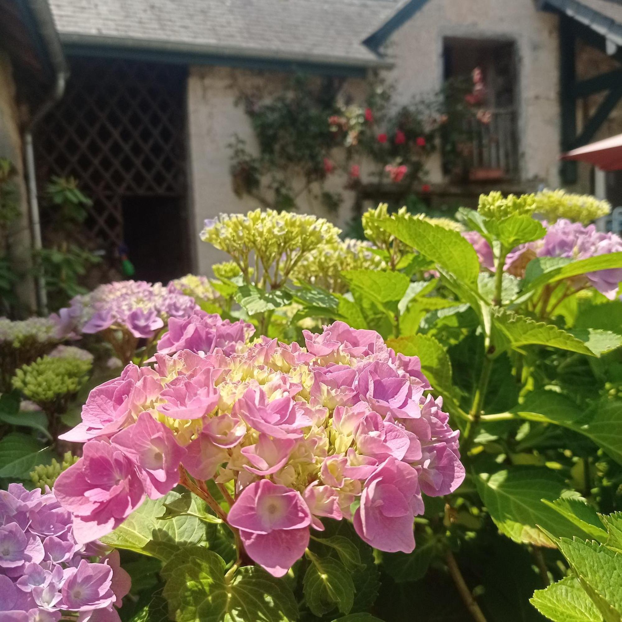 Le Clos De Cinacle Ogeu-les-Bains Екстериор снимка